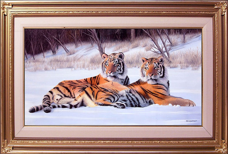 TWO TIGERS IN THE SNOW
